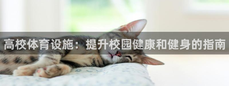 意昂体育3招商电话地址是多少：高校体育设施：提升校园健康和健