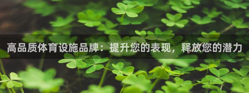 意昂3集团：高品质体育设施品牌：提升您的表现，释放您