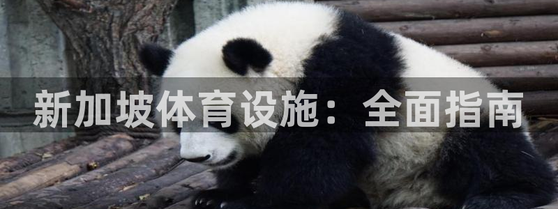 意昂3娱乐平台：新加坡体育设施：全面指南
