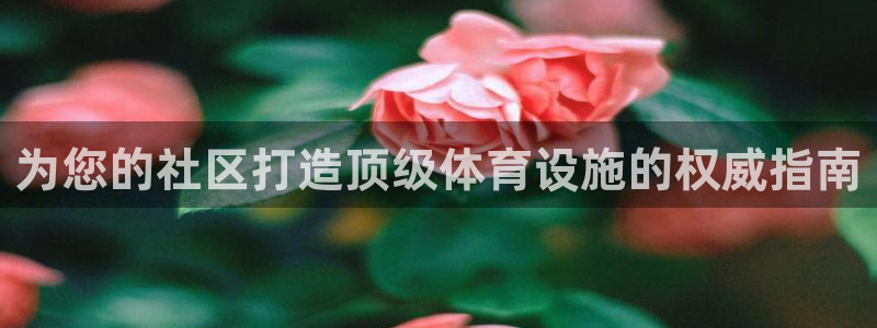 海南意昂体育3：为您的社区打造顶级体育设施的权威指南
