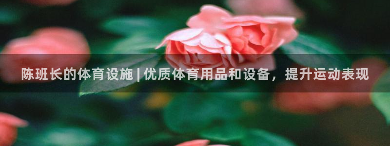 意昂体育3平台是正规平台吗安全吗：陈班长的体育设施 
