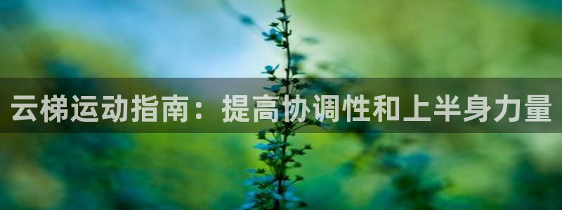 意昂3集团E.ON：云梯运动指南：提高协调性和上半身
