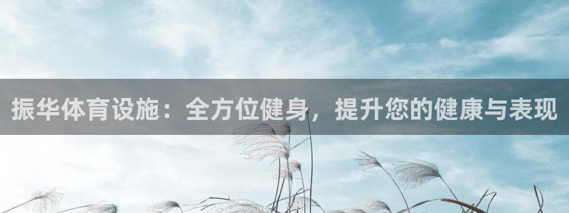 意昂3科技：振华体育设施：全方位健身，提升您的健康与