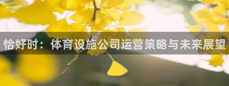 意昂3娱乐首页网站大全
