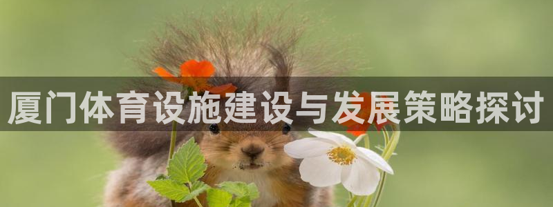 意昂体育3平台是正规平台吗知乎