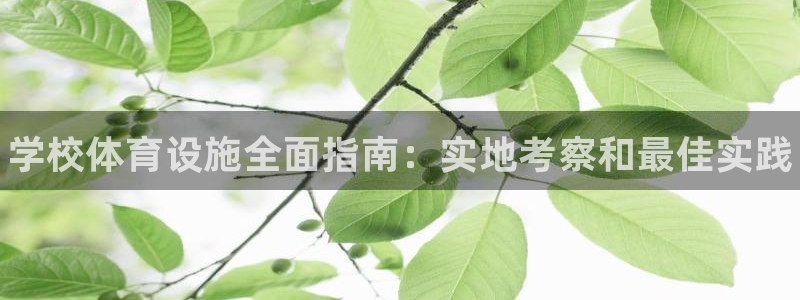 意昂体育3招商电话号码查询是多少：学校体育设施全面指