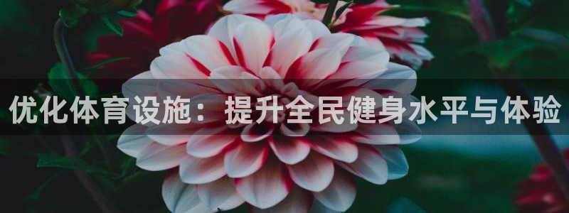 意昂体育3平台注册