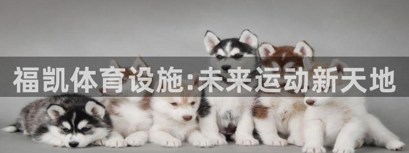 意昂3集团官网首页网址