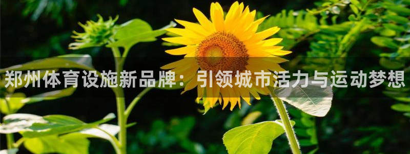 意昂体育3平台是正规平台吗安全吗