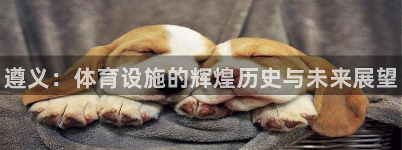 意昂体育3招商电话号码是多少号