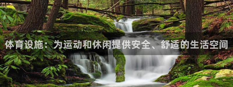 意昂体育3平台注册流程图：体育设施：为运动和休闲提供安全、舒