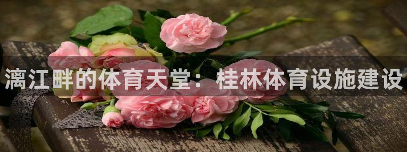 意昂体育3平台：漓江畔的体育天堂：桂林体育设施建设