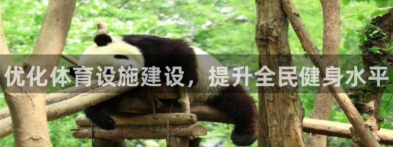 意昂体育3平台假的吗是真的吗：优化体育设施建设，提升