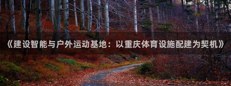 意昂3娱乐首页网站大全：《建设智能与户外运动基地：以