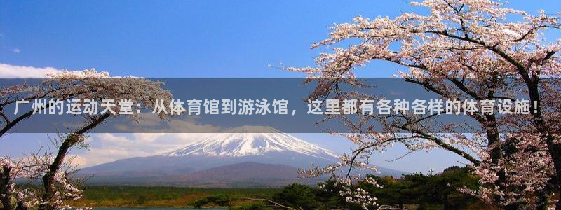 意昂体育3招商电话号码查询是多少：广州的运动天堂：从