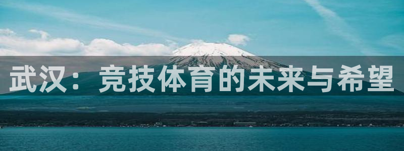 海南意昂体育3发展怎么样：武汉：竞技体育的未来与希望
