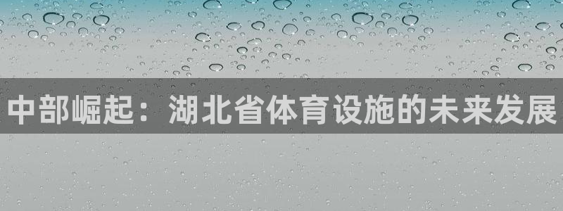 意昂体育3是干嘛的公司：中部崛起：湖北省体育设施的未来发展