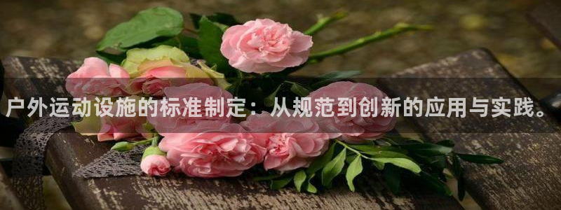 意昂3集团简介：户外运动设施的标准制定：从规范到创新的应用与 