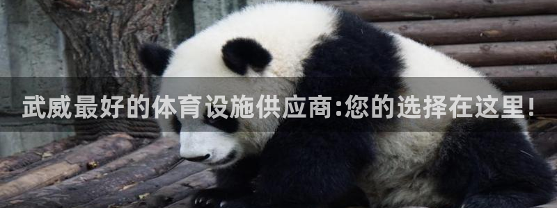 意昂体育3招商电话是多少：武威最好的体育设施供应商:您的选择 