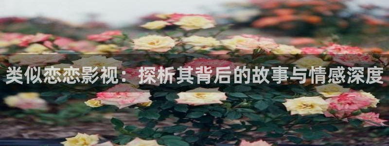午夜宅男视频网站：类似恋恋影视：探析其背后的故事与情感深度