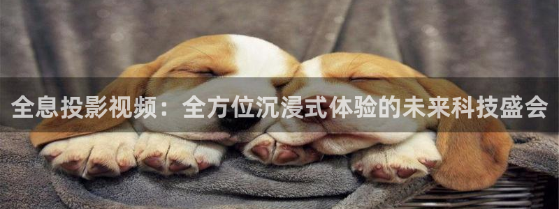 宅男视频52x：全息投影视频：全方位沉浸式体验的未来科技盛会