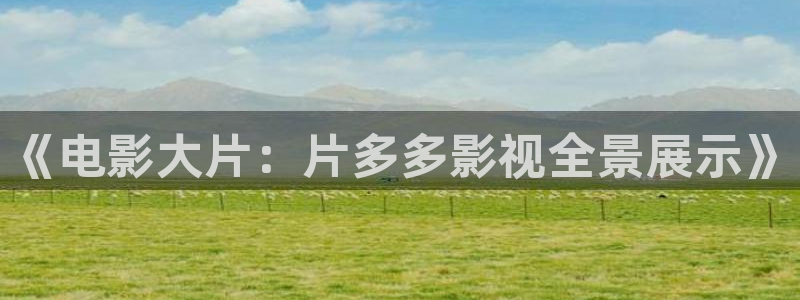 .宅男视频：《电影大片：片多多影视全景展示》