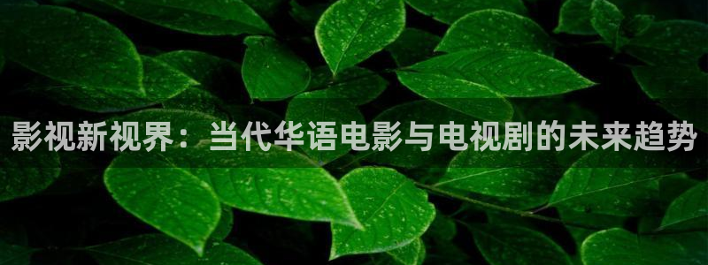 宅男视频免费 看：影视新视界：当代华语电影与电视剧的未来趋势