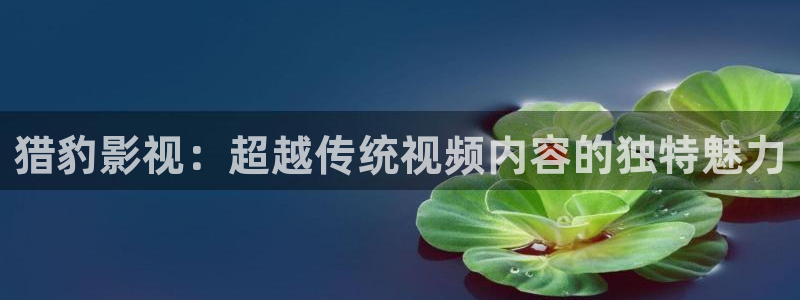 宅男视频中文字幕：猎豹影视：超越传统视频内容的独特魅力