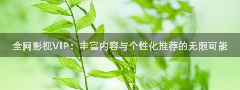 宅男视频最新章节：全网影视VIP：丰富内容与个性化推荐的无限可能