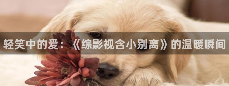 宅男视频在线观看：轻笑中的爱：《综影视含小别离》的温暖瞬间