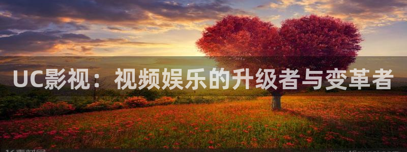 宅男视频在线观看网址：UC影视：视频娱乐的升级者与变革者