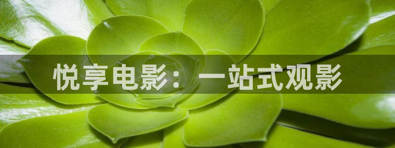 ,宅男视频：悦享电影：一站式观影
