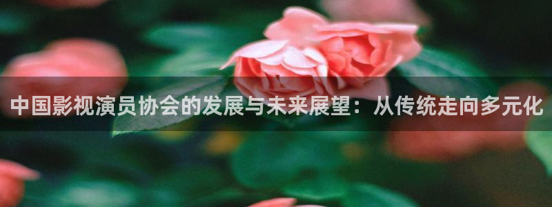 宅男视频视频：中国影视演员协会的发展与未来展望：从传统走向多元化